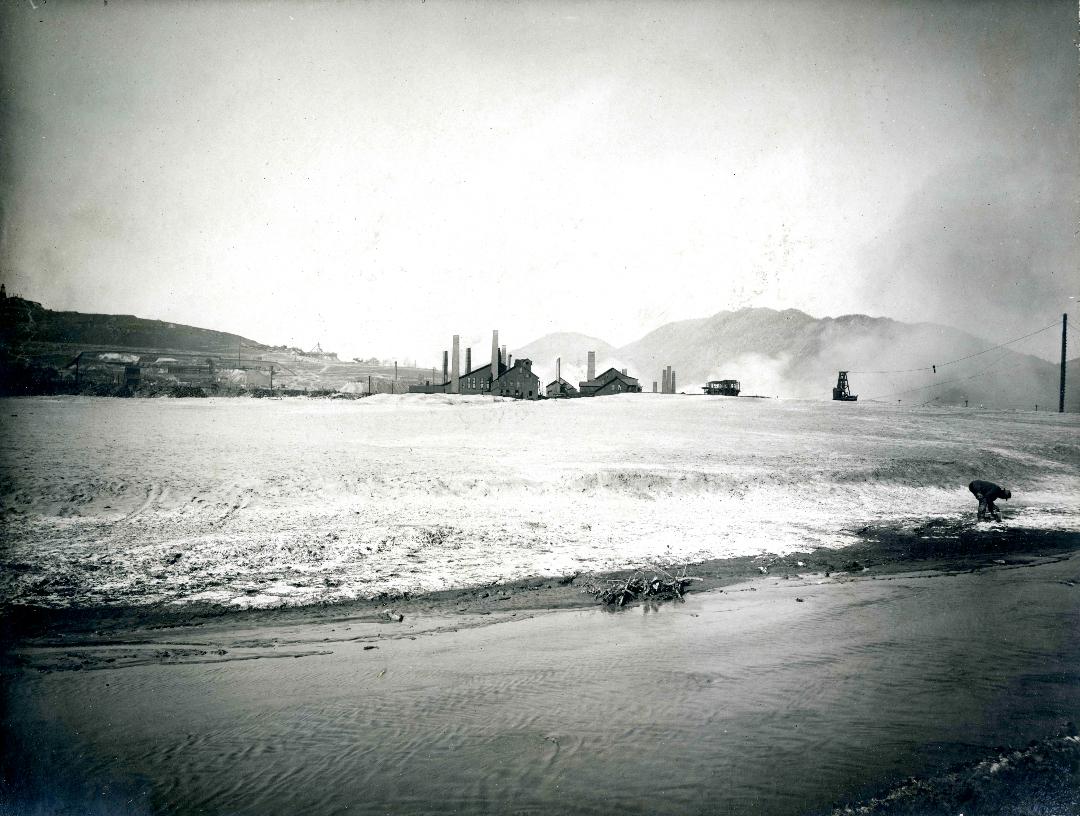 Parrot smelter